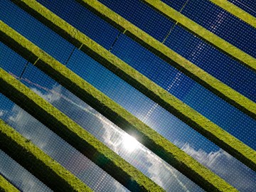 Solarpark Photovoltaik-Module in einem Solarpark